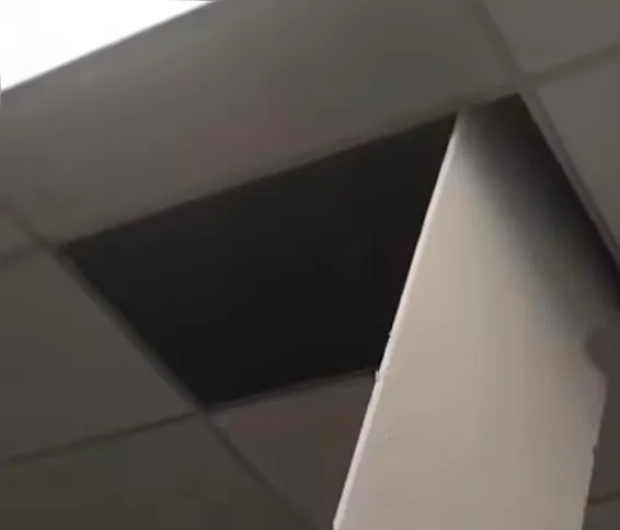 Teto do estabelecimento