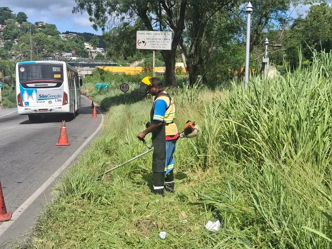 Vegetação alta comprometia a visão de motoristas