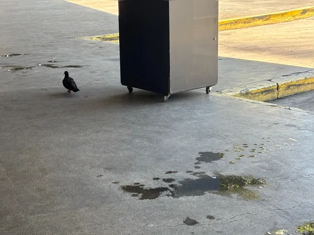 Passageiros relatam desconforto com condições estruturais e manutenção do terminal
