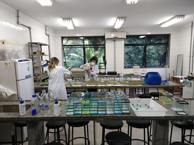 A primeira etapa da pesquisa está em fase final e já apresenta resultados considerados promissores