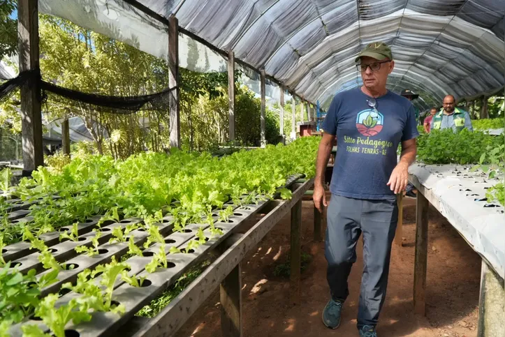 O grande diferencial do espaço é o cultivo de alfaces, feito de forma totalmente natural e livre de agrotóxicos