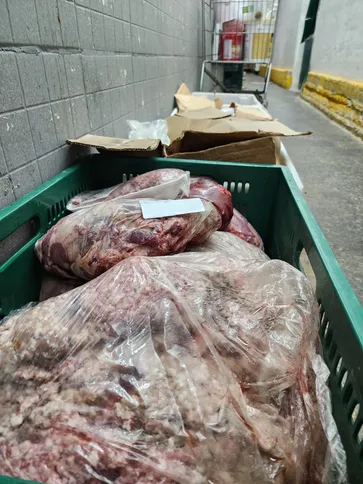 Imagem ilustrativa da imagem Supermercado em São Gonçalo é interditado e tem mais de meia tonelada de produtos descartados