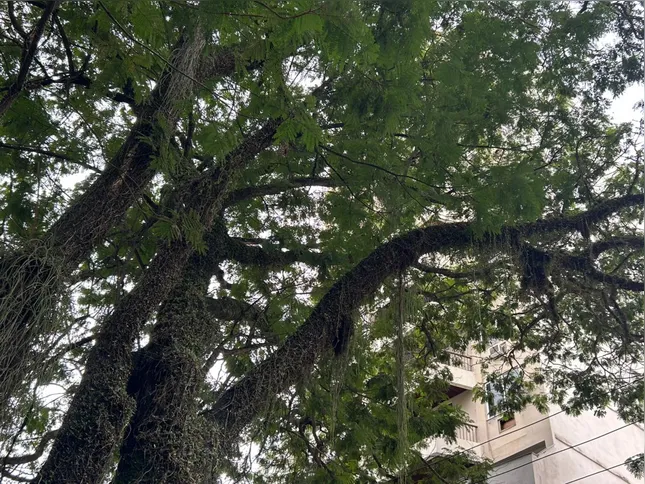 Moradores da região afirmam que o risco já havia sido alertado anteriormente