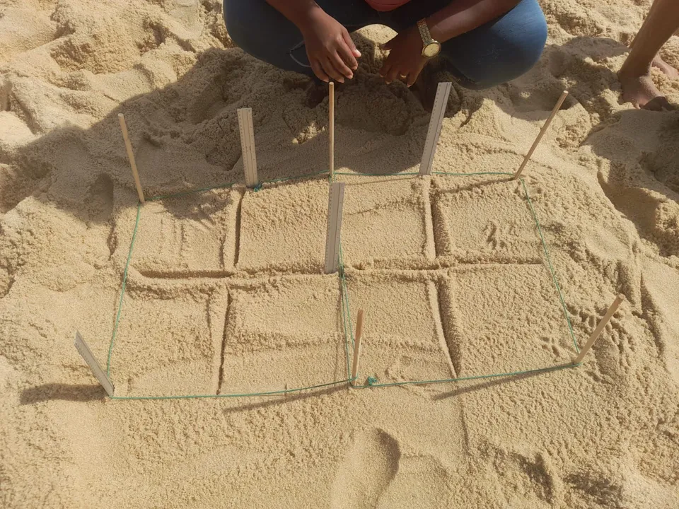 Os microplásticos surgem a partir da fragmentação de materiais plásticos maiores, como garrafas, sacolas e embalagens, ou já são produzidos em tamanho reduzido para uso industrial