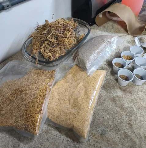 Os bioplásticos são materiais produzidos a partir de fontes renováveis e podem apresentar características biodegradáveis