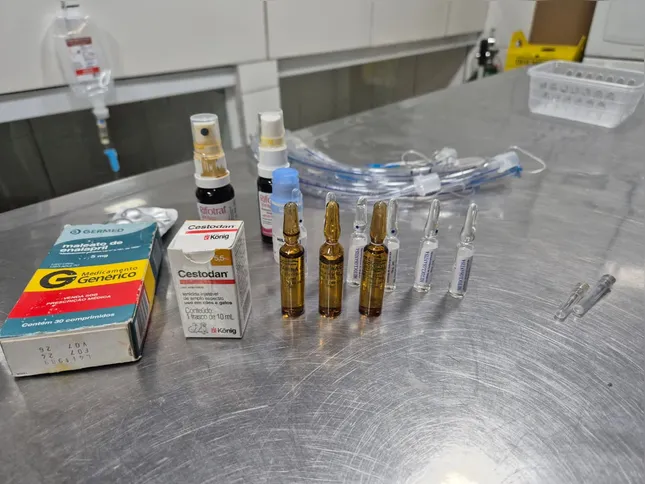 Um dos achados que mais chamou a atenção dos fiscais foi a presença de medicamentos vencidos em clínicas veterinárias