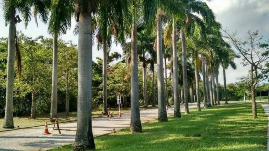 Ilha das Flores