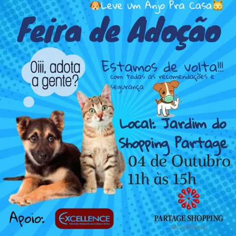 Evento será realizado no Partage Shopping, seguindo todas as orientações da OMS
