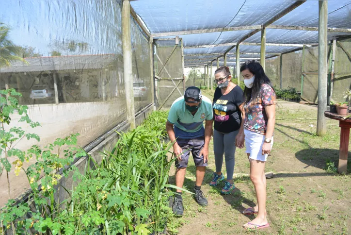 O amor por plantas aproximou as duas vizinhas