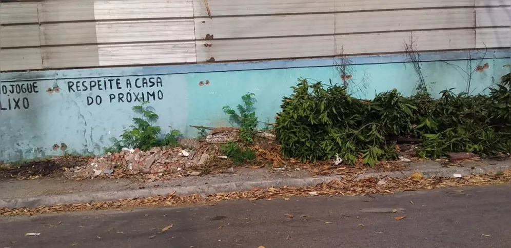 No local, as pessoas jogam entulhos, lixos e galhos de plantas 