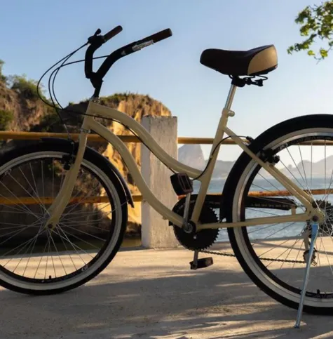 Modelo de sua bicicleta era parecida com esta da foto
