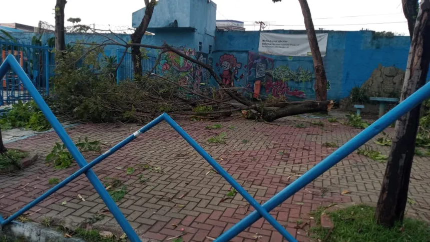 As árvores tombaram na conhecida Rua da Caminhada 