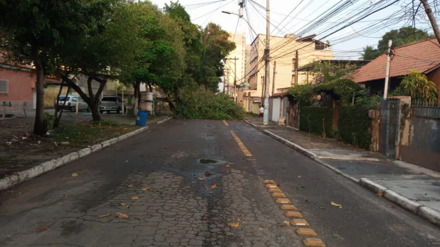 As árvores tombaram na conhecida Rua da Caminhada 
