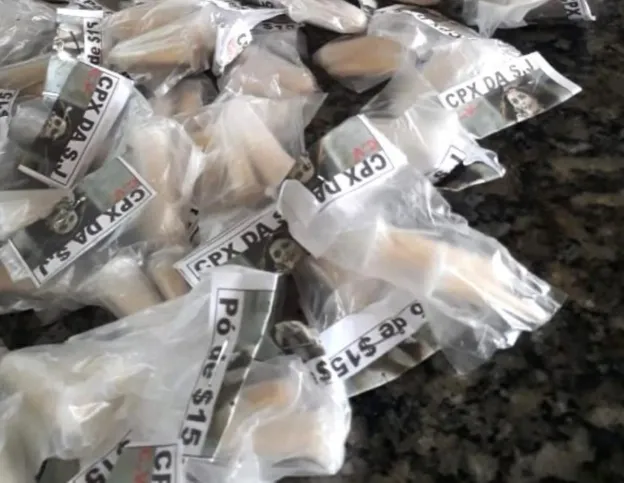 Ao todo, o carregamento de entorpecentes foi avaliado em R$ 15 mil