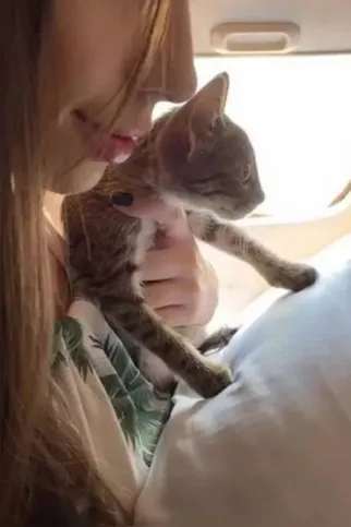 O pet já até viajou com o casal de jatinho