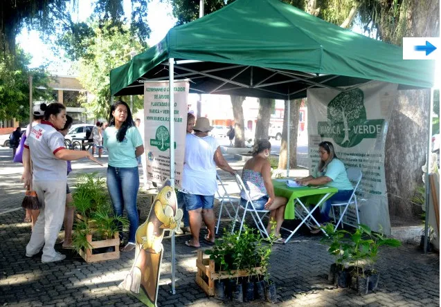 Imagem ilustrativa da imagem Projeto ambiental  visita Recanto amanhã