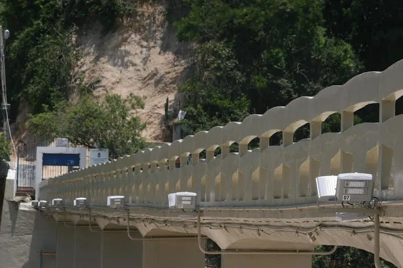 Visitas têm horários e esquemas diversificados para grupos 