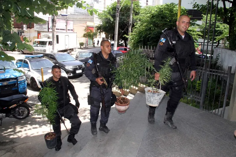 Na ação, PMs encontraram plantação de maconha numa casa