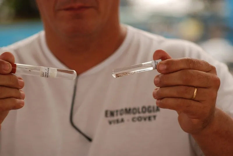 A população foi considerada, por 75% dos entrevistados, a principal responsável pela proliferação do Aedes Aegypti no País