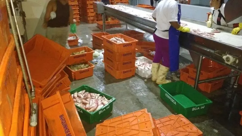 A operação realizada na Baía de Guanabara teve como objetivo coibir a pesca ilegal na regão