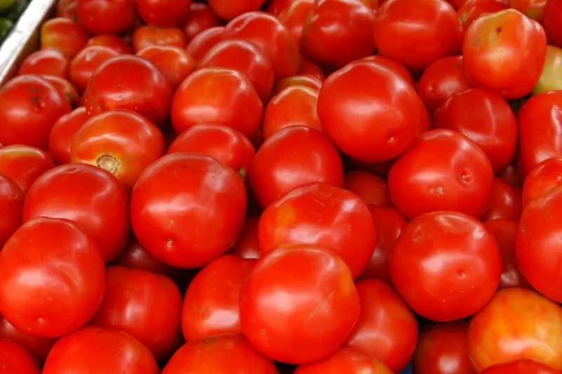 Receita para aproveitar os preços do tomate.