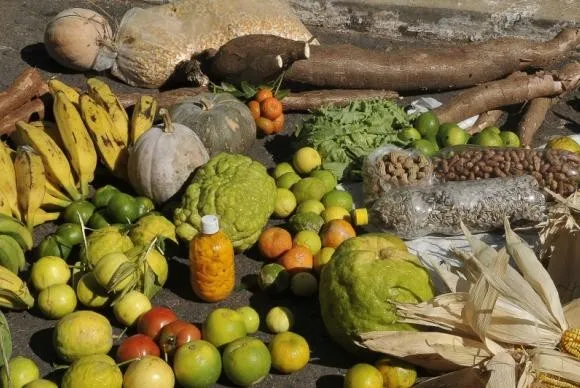 Imagem ilustrativa da imagem Combate à pobreza nas áreas rurais do Nordeste