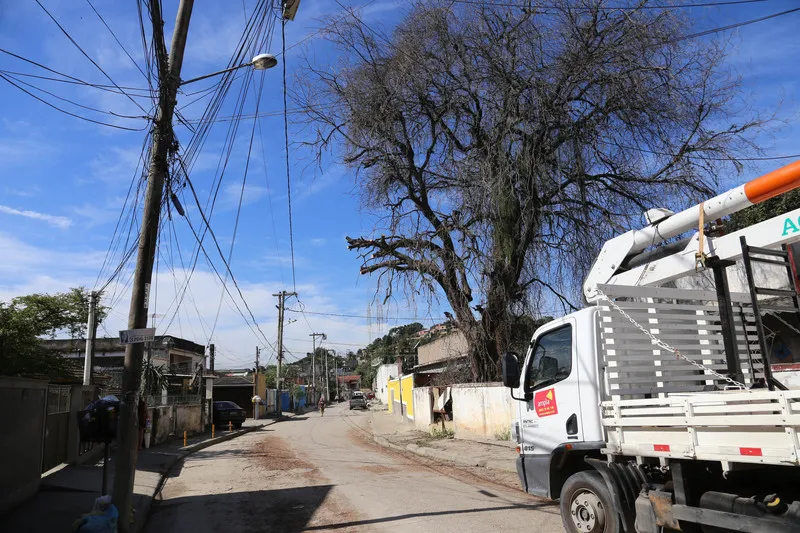 Durante a poda, um poste de morador foi quebrado