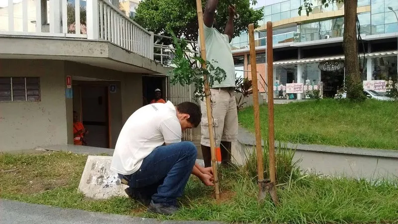 Desde o início da semana, 261 mudas foram plantadas na Praça Porto Rocha e Largo Santo Antônio