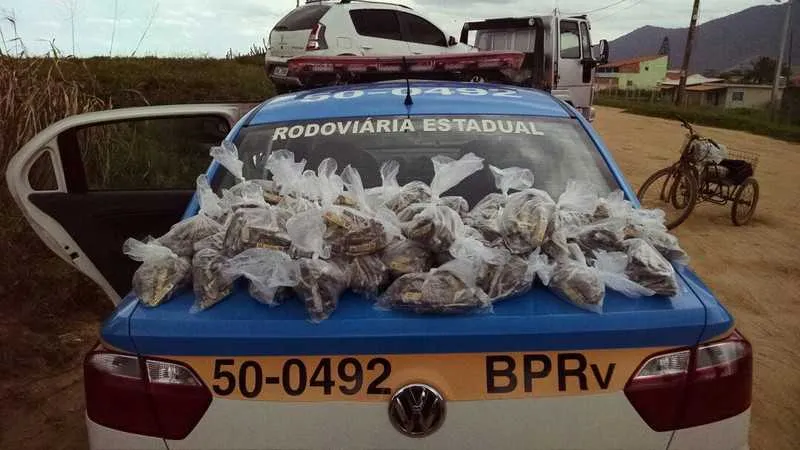 Cada trouxinha da maconha seria vendida por R$20, que daria um grande lucro aos criminosos