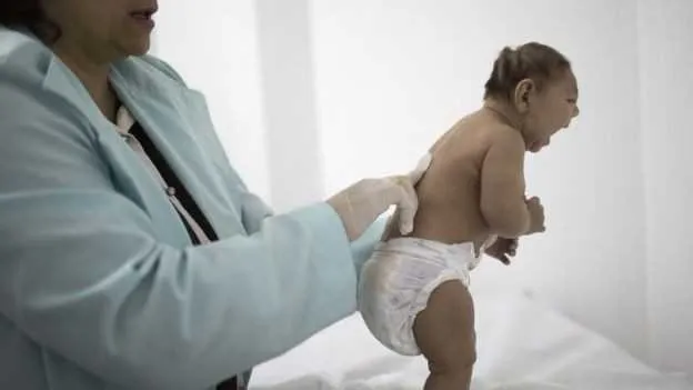 Imagem ilustrativa da imagem Sucesso de testes em ratos 'renovam esperança' de obter vacina contra Zika