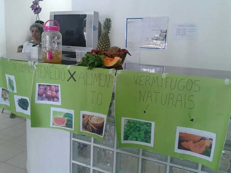 Frutas e sementes podem ser boas alternativas à saúde