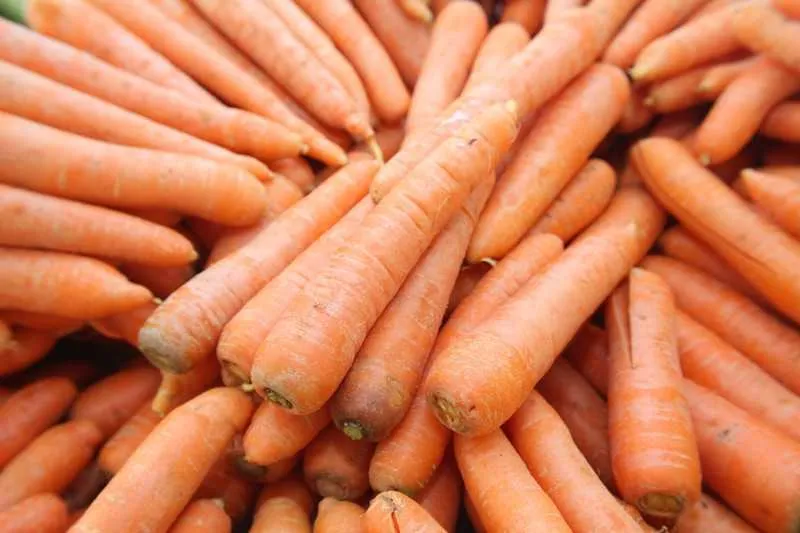 A cenoura recebeu um título negativo da semana de 'vilã' da cesta básica, pois foi o produto que mais encareceu: cerca de 30%