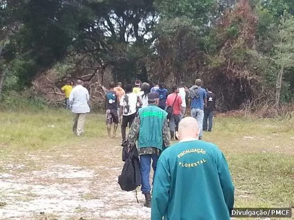Ação flagrou pessoas desmatando e fazendo queimadas dentro do Parque Mico Leão Dourado