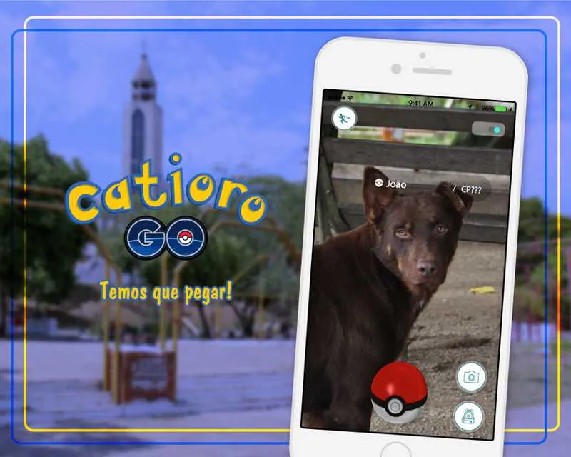 Imagem ilustrativa da imagem Adoção de animais inspirados por Pokémon Go