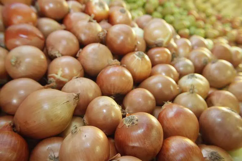 A cebola foi um dos itens que ajudaram a “puxar” para baixo o preço da cesta nesta primeira semana de agosto. Está 10% mais barata