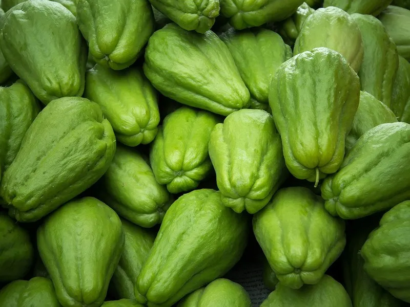 Chuchu é o ‘vilão’ da cesta esta semana: seu preço quase dobrou
