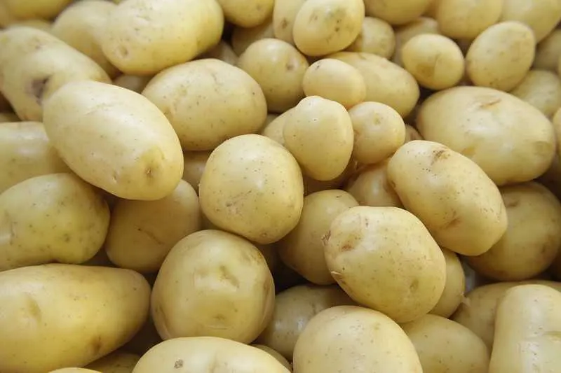 A batata é um dos itens que mais ‘puxou’ para baixo o valor da cesta no período atual, ou seja, o valor do item está 14% mais barato