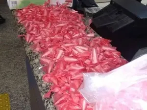  As drogas foram encontradas em uma rua do Morro da Cabocla.