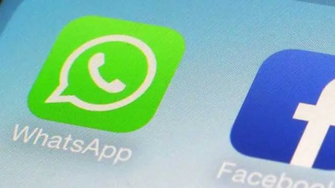 A partir de agora o WhatsApp compartilhará seu número com o Facebook. O que significa essa medida e que fazer caso queira evitá-la?