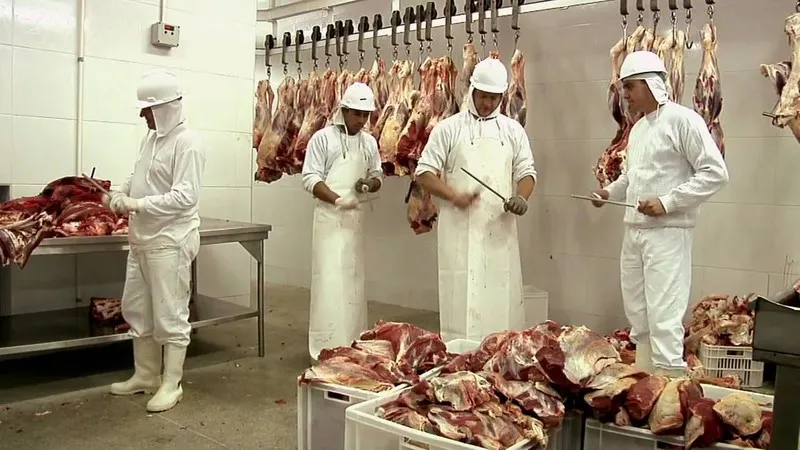 Das 56 oportunidades que são oferecidas no município de São Gonçalo, a grande maioria delas é para a função de açougueiro