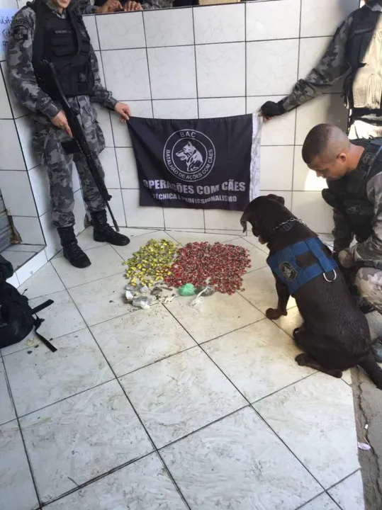 Com cães farejadores, agentes fizeram buscas por armas e drogas