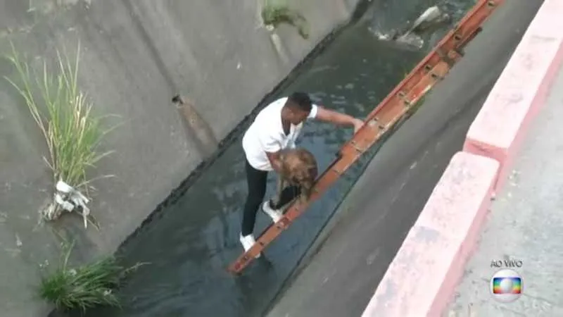 Imagem ilustrativa da imagem Cachorro resgatado após cair no canal da Alameda morre