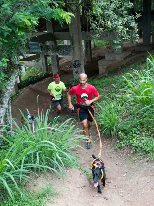 William foi campeão em duas etapas e ficou em terceiro em uma outra com a SRD Black, de apenas 12 quilos