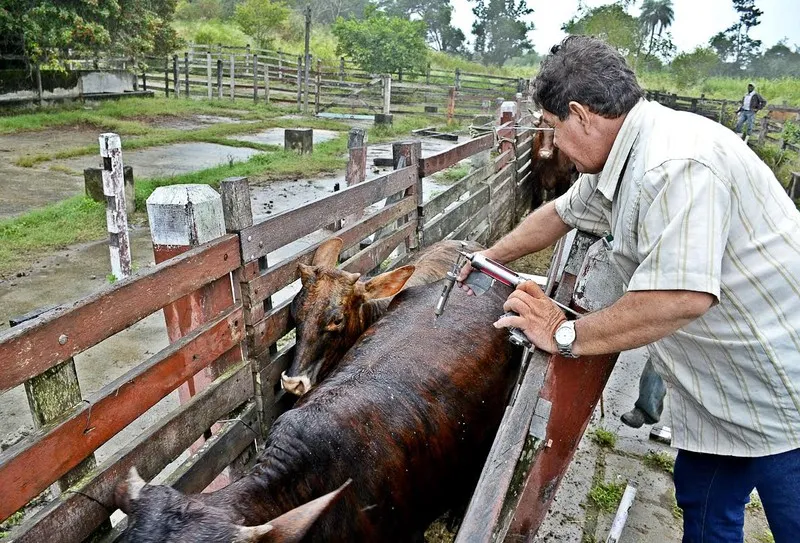 A Secretaria Adjunta de Agricultura, Pecuária e Pesca manterá a campanha até o dia 31