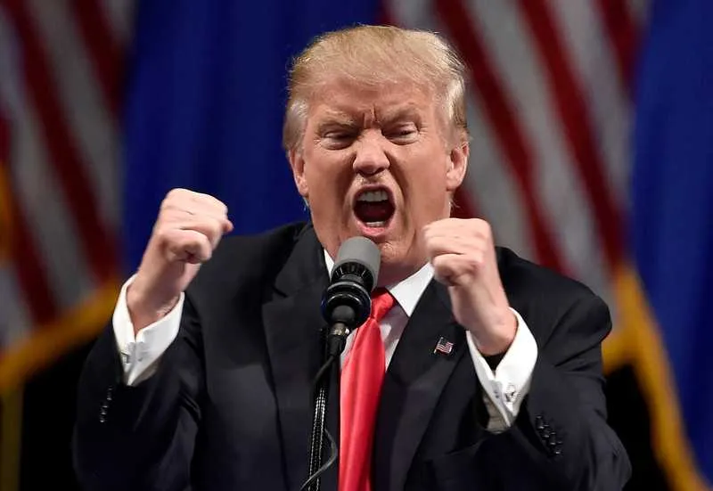 Imagem ilustrativa da imagem Donald Trump vence eleições presidenciais dos Estados Unidos