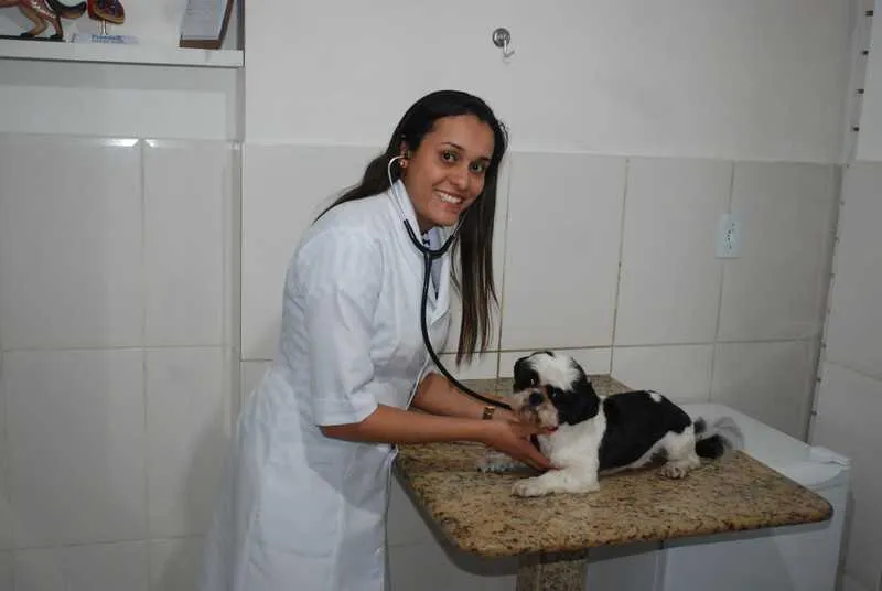 Segundo a veterinária, o Shit Zu é o ideal para apartamentos

