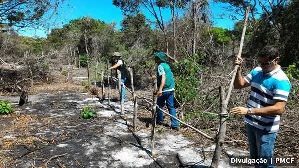 Invasões são combatidas em parques ambientais da cidade