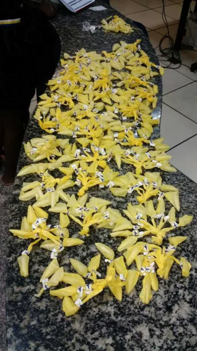 As drogas estavam na casa