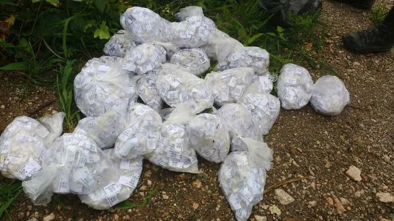 Durante a ação, PMs apreenderam grande quantidade de drogas