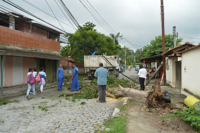Em Maria Paula, umas das árvores mais antigas do bairro foi derrubada pela força do vento